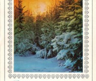 Зимний лес и текст "С Новым годом!"