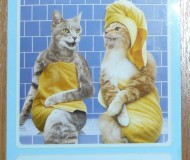 Гламурные кошки в полотенцах