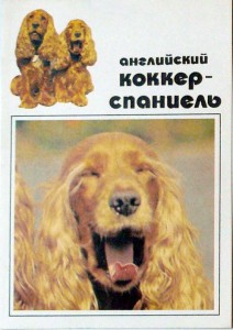 открытки с собаками