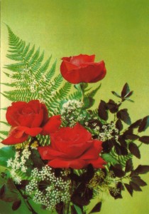 открытки с розами