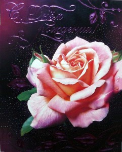 роза на фиолетовом фоне